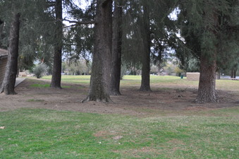 Enlarge photo 61