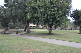 Enlarge photo 62