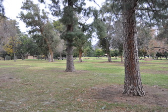 Enlarge photo 63