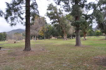 Enlarge photo 64