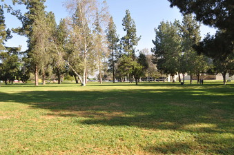 WARNER PARK