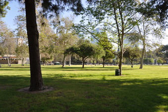 Enlarge photo 11