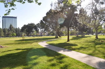 Enlarge photo 13
