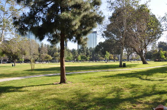 Enlarge photo 16