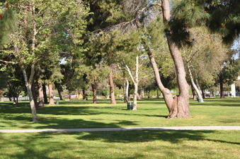 Enlarge photo 18