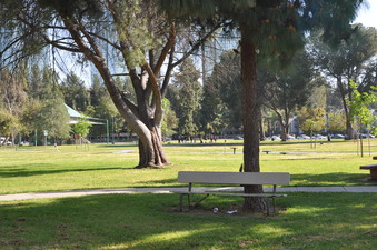Enlarge photo 19