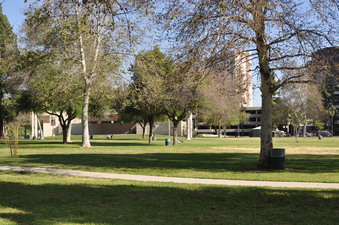 Enlarge photo 20
