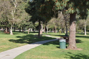 Enlarge photo 23