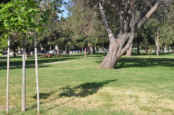 Enlarge photo 24