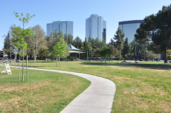 Enlarge photo 25