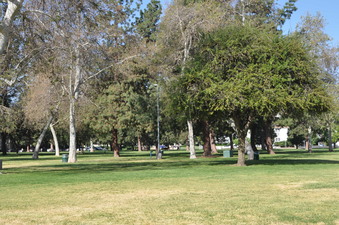 Enlarge photo 28