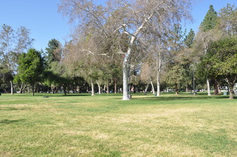 Enlarge photo 29