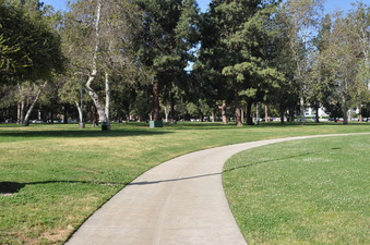 Enlarge photo 31