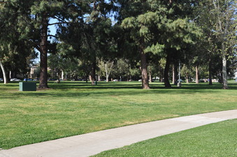 Enlarge photo 32