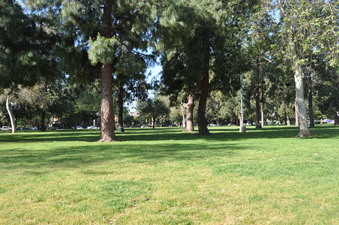 Enlarge photo 35