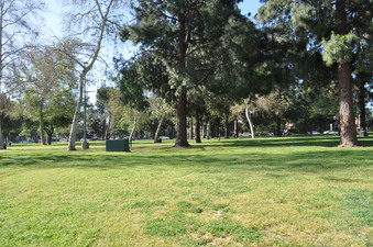 Enlarge photo 36