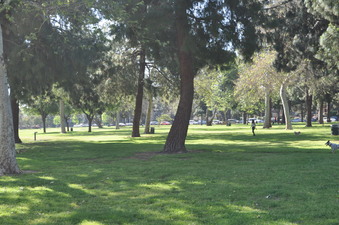 Enlarge photo 42
