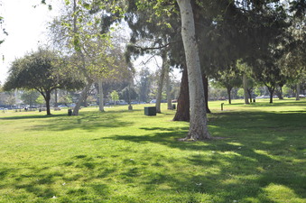 Enlarge photo 43