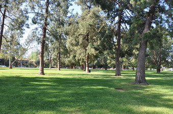Enlarge photo 44