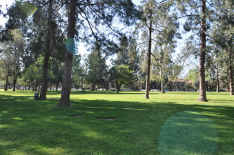 Enlarge photo 45