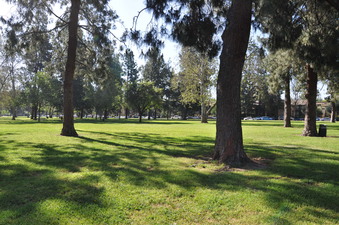 Enlarge photo 46