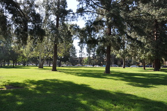 Enlarge photo 48