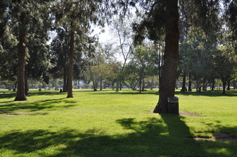 Enlarge photo 49