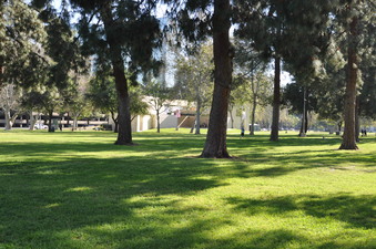 Enlarge photo 50