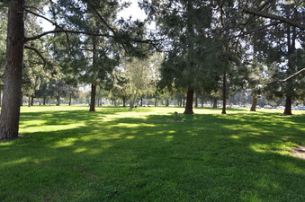 Enlarge photo 51