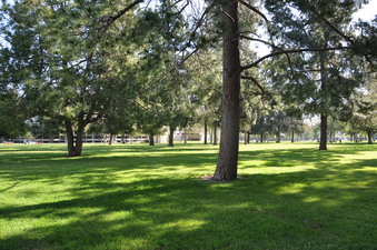 Enlarge photo 52
