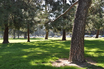 Enlarge photo 53