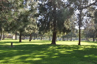 Enlarge photo 54