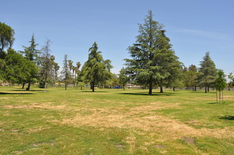 WOODLEY PARK