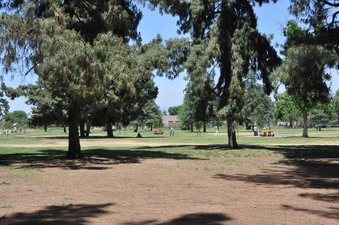 Enlarge photo 17