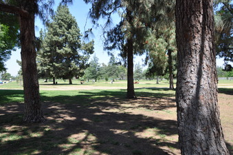 Enlarge photo 18