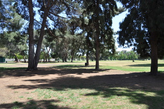 Enlarge photo 19