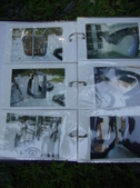 Enlarge photo 67