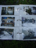 Enlarge photo 71