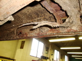 Enlarge photo 43