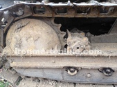 Enlarge photo 7