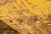 Enlarge photo 53