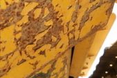 Enlarge photo 55