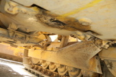 Enlarge photo 62