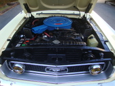 Enlarge photo 36