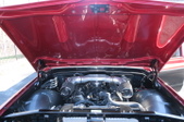 Enlarge photo 64