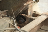 Enlarge photo 53