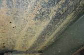 Enlarge photo 45