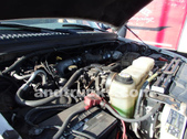 Enlarge photo 56