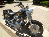 2005 Harley Fatboy