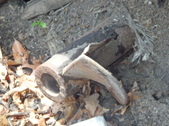 Enlarge photo 17